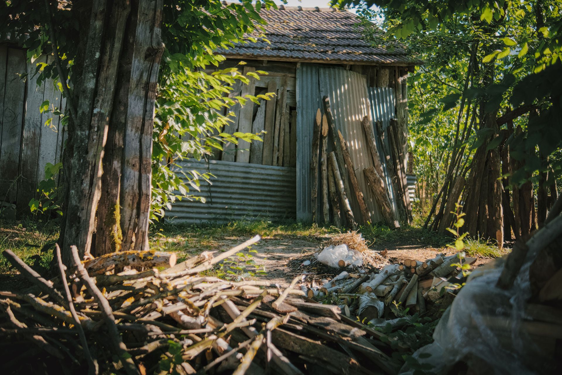 A tranquil outdoor scene featuring a wood pile and shed surrounded by greenery in bright sunlight.